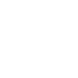 Gynécologue Icon