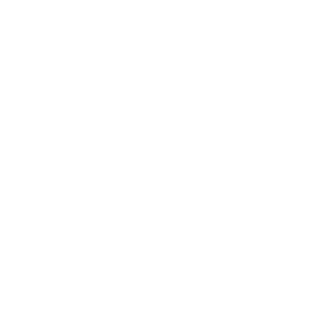Cardiologue Icon